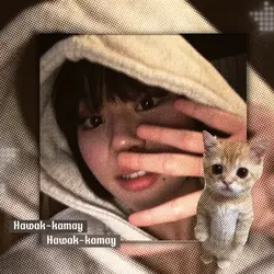 El Gato~ || 1:1