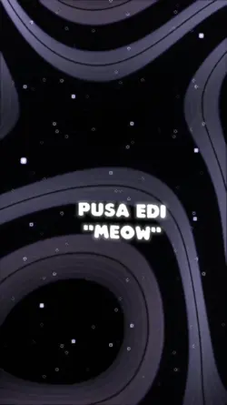 Pusa Edi Meow #AprilFoolsDay