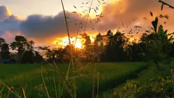 Aesthetic lagi nih