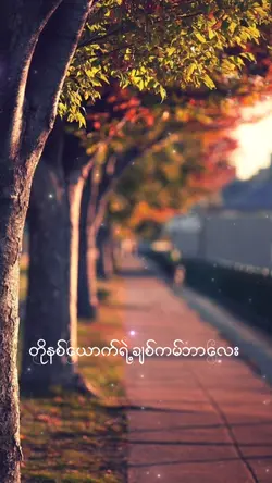 ไส่รูป1