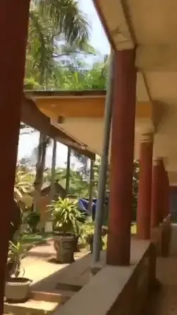 1 video + 2 ảnh