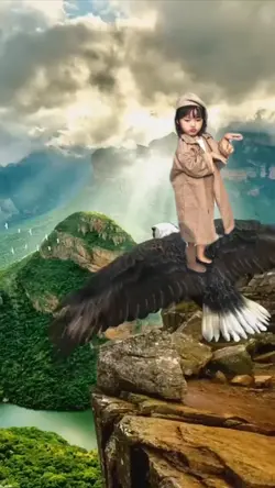 Naik burung 