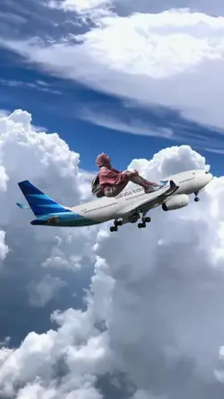 naik pesawat terbang