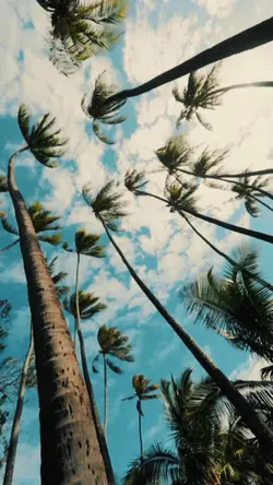 Life in slowmo