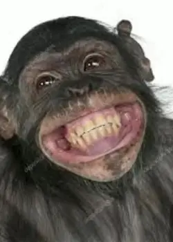 #MonkeyGlowUp