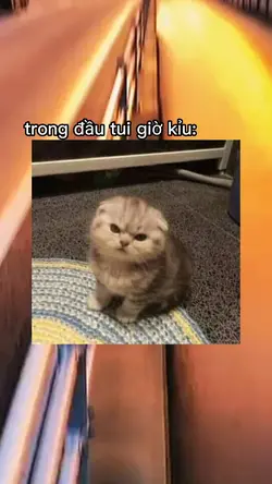 mâuc cute