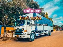 mẫu xe 
