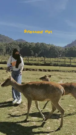 LAGU VIRAL TIKTOK