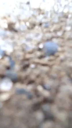 Zoom Effect Slowmo