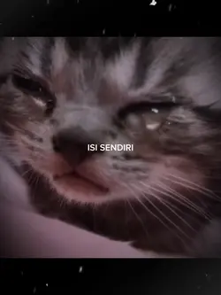 Kucing nangis