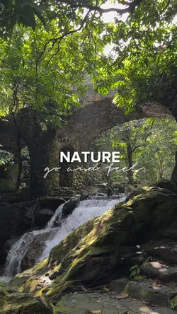 Nature Vlog