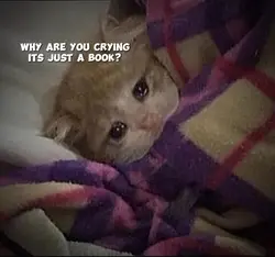 why are u crying its