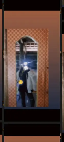 កូនអ្នកព្រៃផ្អេ