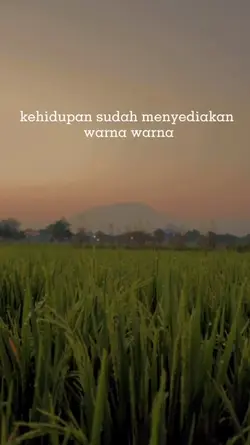 Seni hidup 