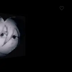 후방주의 노래