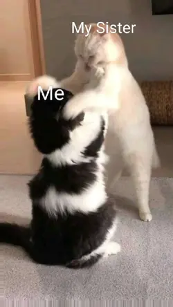 me vs my sister