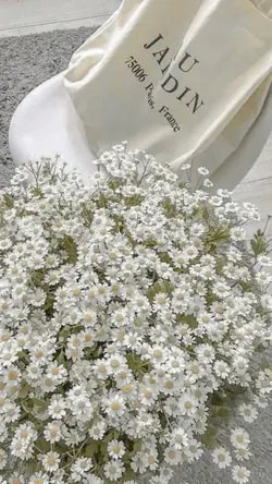 เปลี่ยนเพลงบอกได้นะครับ💐