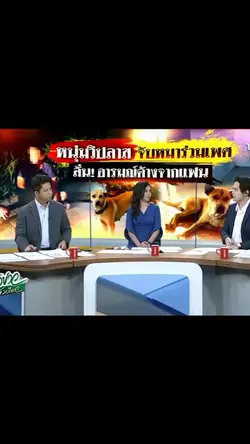 แกงเพื่อน| 1รูป/วีดีโอ