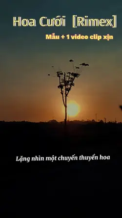 Hoa Cưới [Rimex]