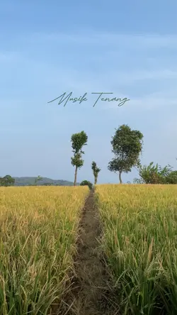 Musik tenang 🍃