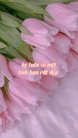 12 cung hoàng đạo