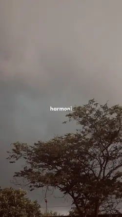 Harmony