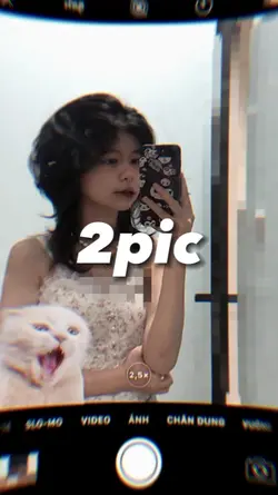 2pic