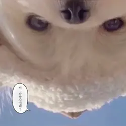 당연히 나잖아