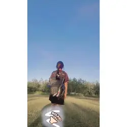 ចាក់ចេញ