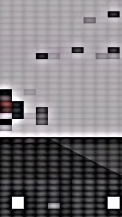 .P