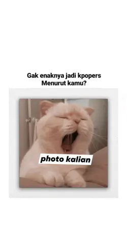 storywa