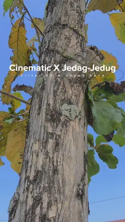 Cinematic X JJ Kane🔥