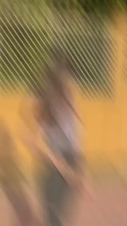 Mẫu giật giật