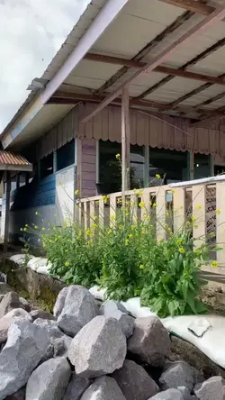 1 video 6 photo 