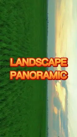 landscape
