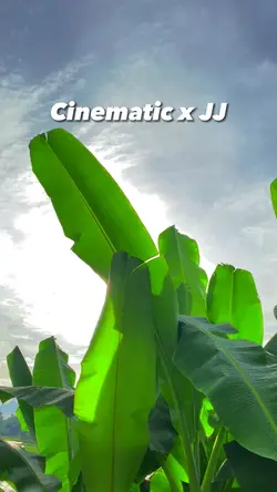JJ X cinematic