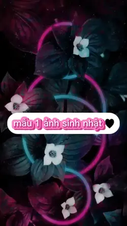 mẫu sinh nhật 
