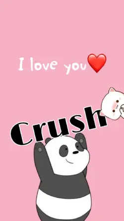 I Love You Crush