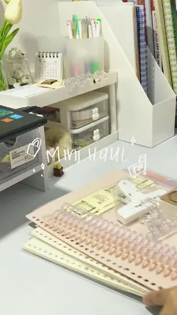 mini vlog  mini haul