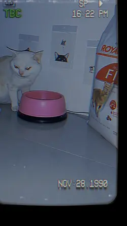 ทีวีในอดีต