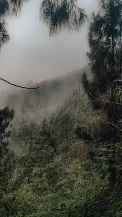foto pemandangan 