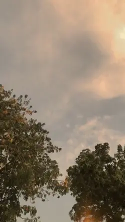 Sunset vibes🌥