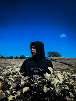 jangangu