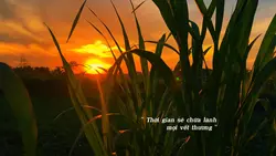 chill tâm trạng