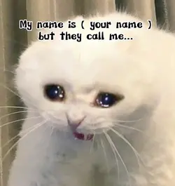my name is.....