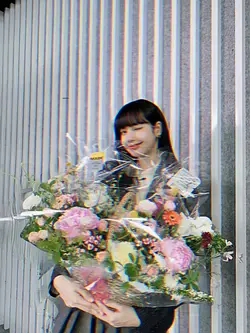 3D 줌