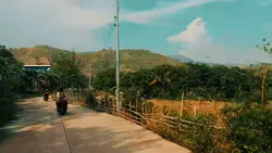 nature with friends 