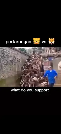 meme tik tok 