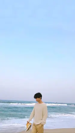 transisi euphoria