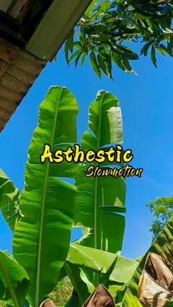 Astechic slowmotion